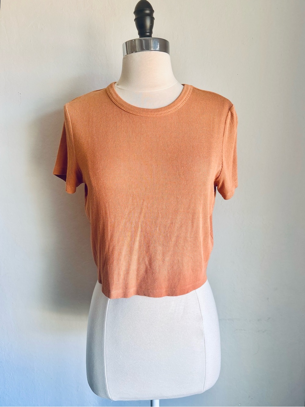 Privacy Please Ribbed Cropped Short Sleeve Baby Tee in Burnt Orange, Small